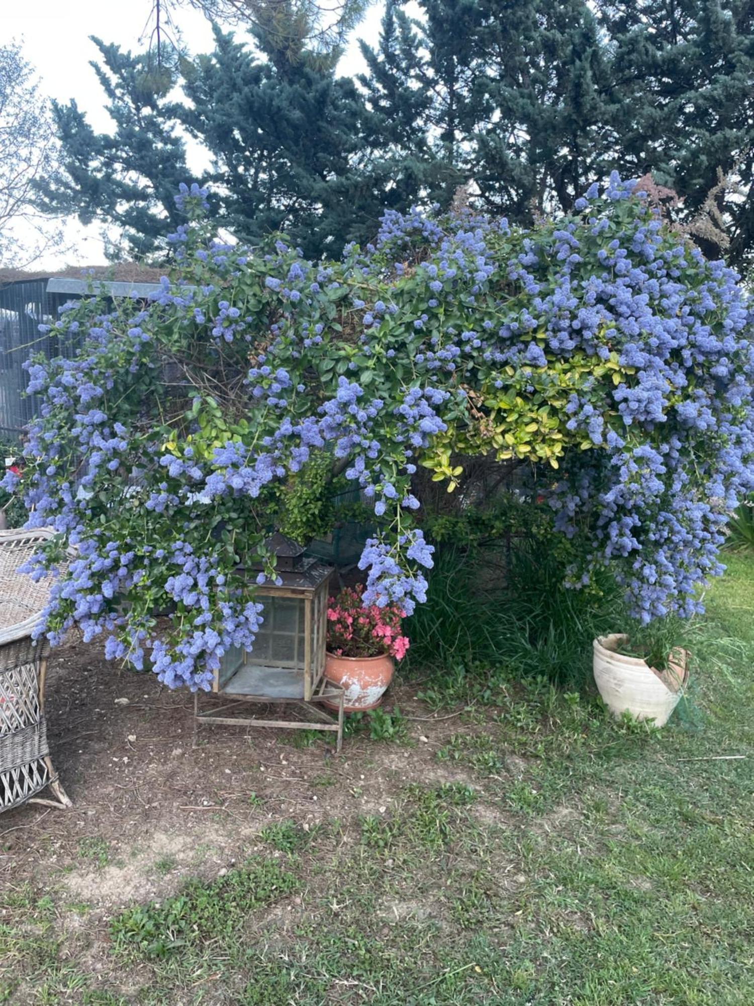 Gites Le Pimayon Manosque Exteriér fotografie
