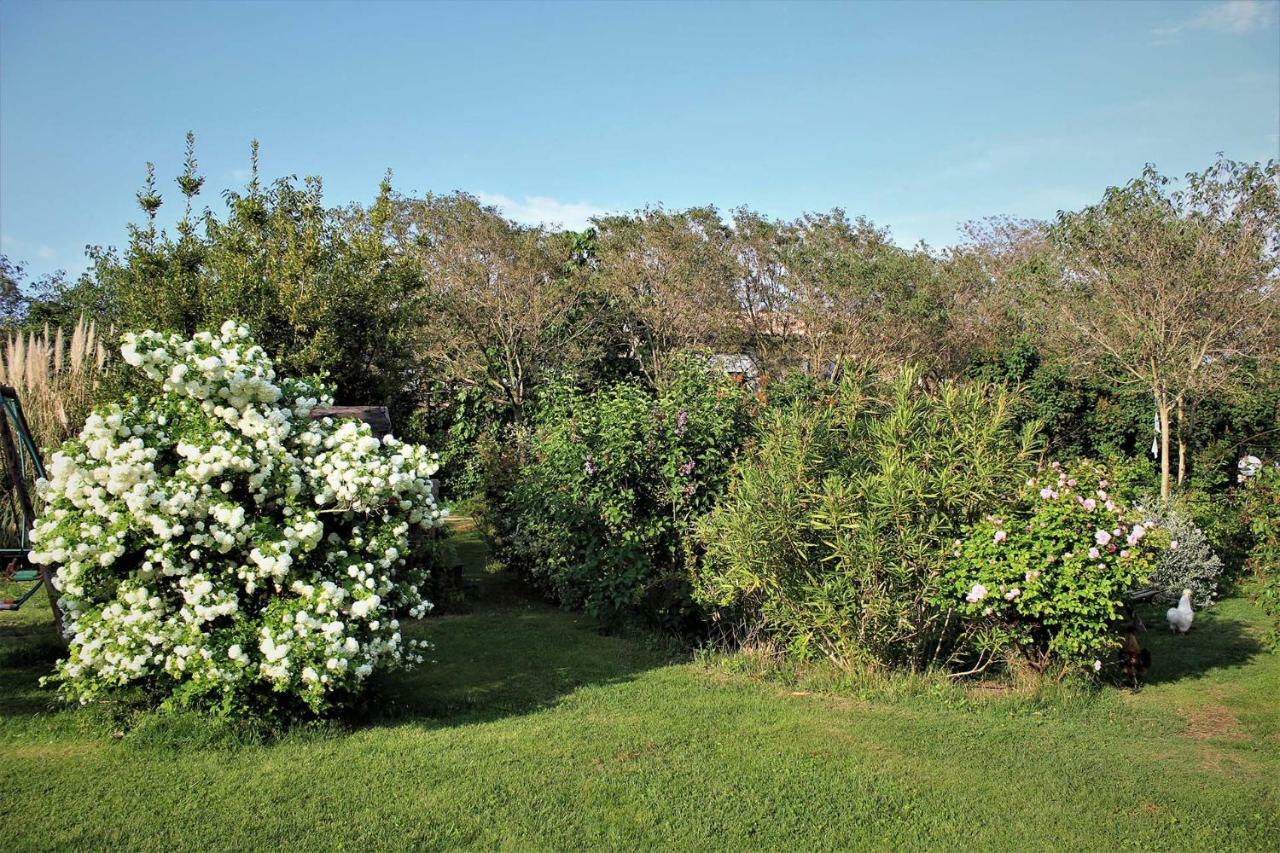 Gites Le Pimayon Manosque Exteriér fotografie